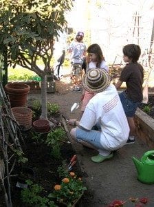 school garden, Sustainable, Green Living, Organics, Gardening