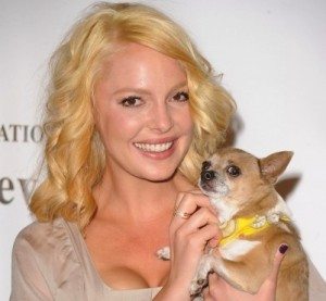 Katherine Heigl gives $1 million dollars to the Debus Heigl Foundation