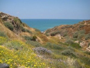 Israel's Coastline