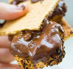 easy chocolate recipe vegan chocoholic smores vegan_smores