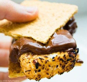 easy chocolate recipe vegan chocoholic smores vegan smores