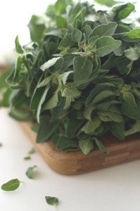 oregano_herbs_healthy_lifestyle_antioxidant