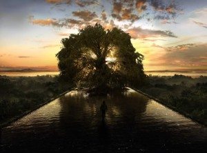 Terrence Malick Tree of Life film review