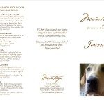 Dog Brochure Journey