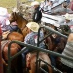 Cowboys on horses