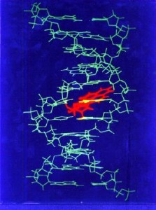 Perera DNA1