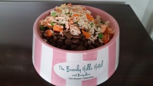 Doggie Bowl with Salmon BHH