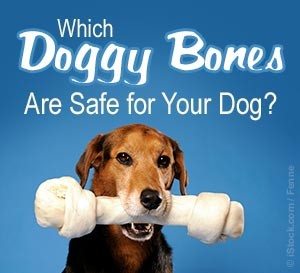 bones-can-kill-your-dog