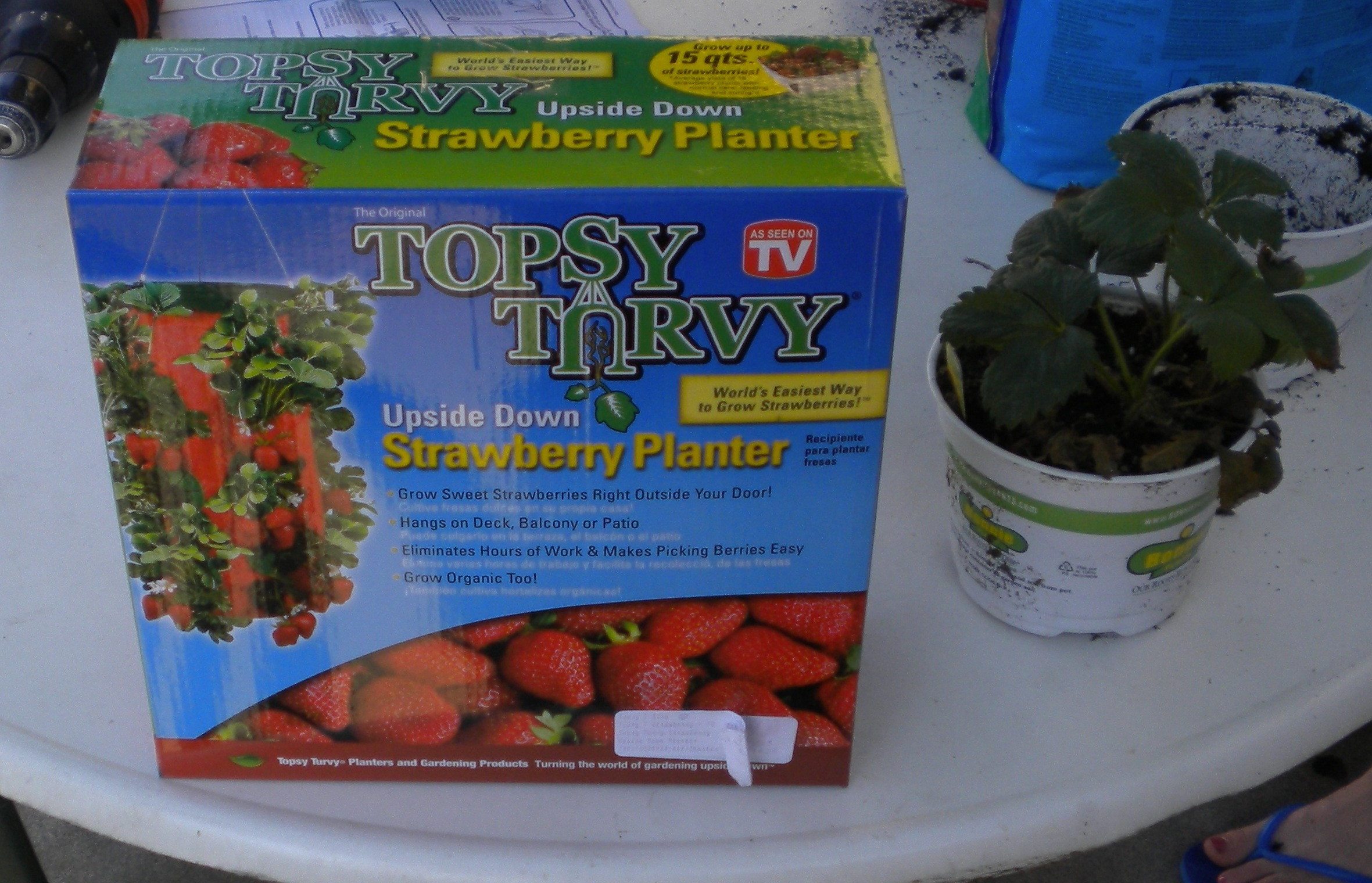 Topsy Turvy Easy Home Grown Strawberries LuxEcoLiving