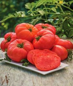 Tomato, Beefsteak Organic - Burpee